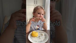 What my 3 year old eats in a day