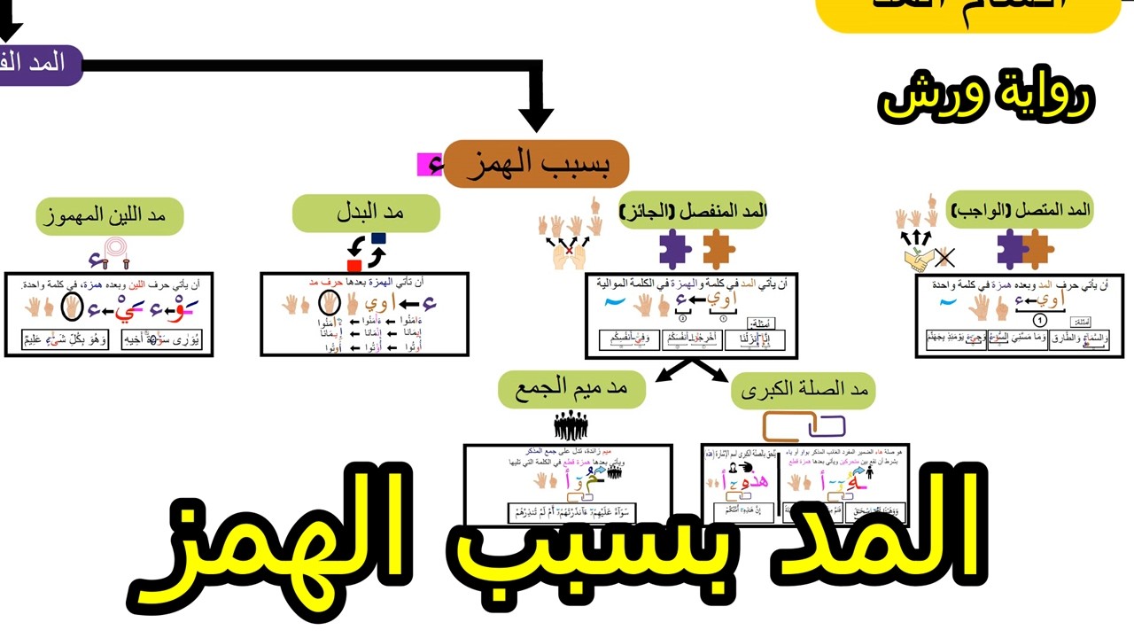 أبسط طريقة لفهم المد بسبب الهمز عند ورش