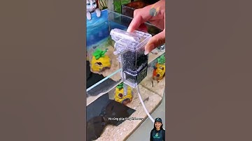 Bộ loc nhỏ xinh lọc nước cho bể cá  Small aquarium filter #aquarium #shorts