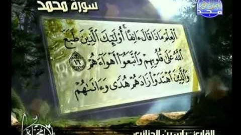 سورة محمد   تلاوات مختارة   ياسين الجزائرى