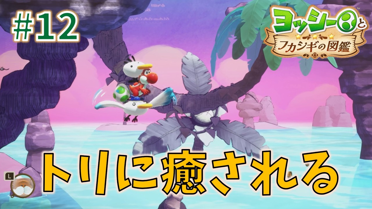 Finding Peace with the Birds [Yoshi's Fantastic Field Guide] #12