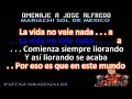 OMENAJE A JOSE ALFREDO   MARIACHI SOL DE MEXICO   DJ JOSE CHICAGO KARAOKE