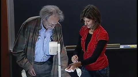 BLOSSOMS - The Science of Soap Bubbles