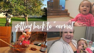 Healing From Our Loss & Getting Back to Normal
Its been a reallllly long time since we have done a vlog for you guys but we are back! I wanted to make sure to tell you guys thanks for all the love and support and let you know how we are healing from our most recent loss. Thanks again for being part of our extended family!
SUBSCRIBE TO JOIN #TEAMDODGE & ENJOY NEW VIDEOS EVERY MONDAY & FRIDAY!
**CONNECT WITH US!!**
Instagram/Snapchat- @thedodgefamily
Facebook - www.facebook.com/thedodgefamily
Twitter - http://twitter.com/thedodgefamily
Pinterest - http://pinterest.com/kimmydodge
CHECK OUT MY FAVORITE VIDEOS!!!
RAINBOW BABY BIRTH VIDEO-
https://youtu.be/pgVB3EcJ97E
BABY GENDER REVEAL-
https://youtu.be/XRGkdpuMwsg
BABY NAME REVEAL-
https://youtu.be/bzzlW9e2y8I
SHOP OUR FAVORITES:
*Dock A Tot / $10 off purchase
http://dockatot.refr.cc/FF898JZ
*Finn & Emma Playgym / 10% off purchase
http://finnandemma.refr.cc/kimberlyd
*Binxy Baby / 10% off purchase http://go.referralcandy.com/share/RPPQT7F
For Business Inquiries you can email us at: theofficialdodgefamily@gmail.com
FIND OUR MEDIA KIT HERE -
https://drive.google.com/file/d/1Qo6l6tVRpPJgXQEIAsh5fQqxUDlxagkw/view?usp=sharing
MUSIC FROM EPIDEMIC SOUND, JOAKIM KARUD, & DQ QUADS
http://www.joakimkarud.com
https://soundcloud.com/aka-dj-quads
* denotes affiliate links Healing From Our Loss & Getting Back to Normal