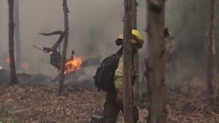 Nota "Talca ayuda al Maule": Campaña de donaciones para los bomberos que combaten incendios