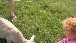 MVI_2743.AVI