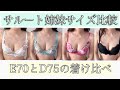 サルート姉妹サイズを着け比べました