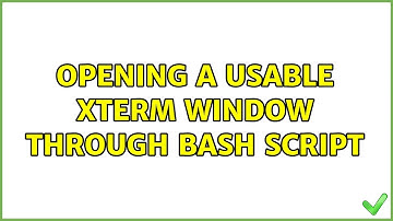 Opening a usable xterm window through bash script