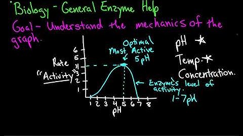 Understanding Enzyme Graphs - Video 6