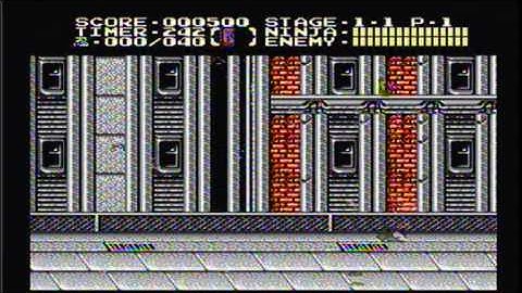 Game Genie Goofyness: Ninja Gaiden II - SOTPOT