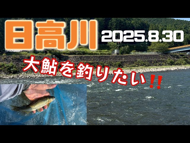 takeちゃんの鮎つりでGO!! 日高川(2025.8.30） - YouTube