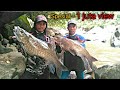 PENGHUNI NEGERI JERAM | SI MONSTER MAHSEER | IKAN KELAH IKAN SAPAN SEMAH