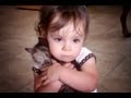 This Kitty Found A New Parent… Watch Little Olivia’s Response To Her New Kitten Baby, Aww…