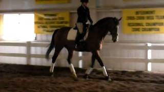 trot bad halt