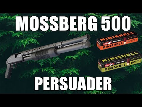 Video: Bolehkah mossberg 500 persuader menembak siput?