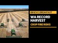 Summer blazes threaten millions in lost harvest | ABC News
