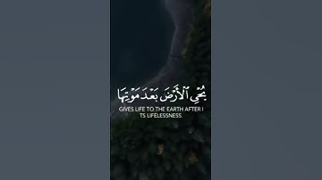 أرح سمعك 🥀القارئ: شريف مصطفى🍃حالات واتس آب