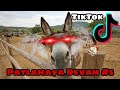 Patlamaya Devam Meme TikTok Compilation Part 5