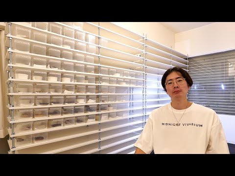 リスト公開&売約受付開始のお知らせをしたというお知らせ