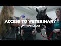 Equine Sports Medicine