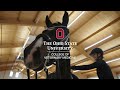 Equine Sports Medicine