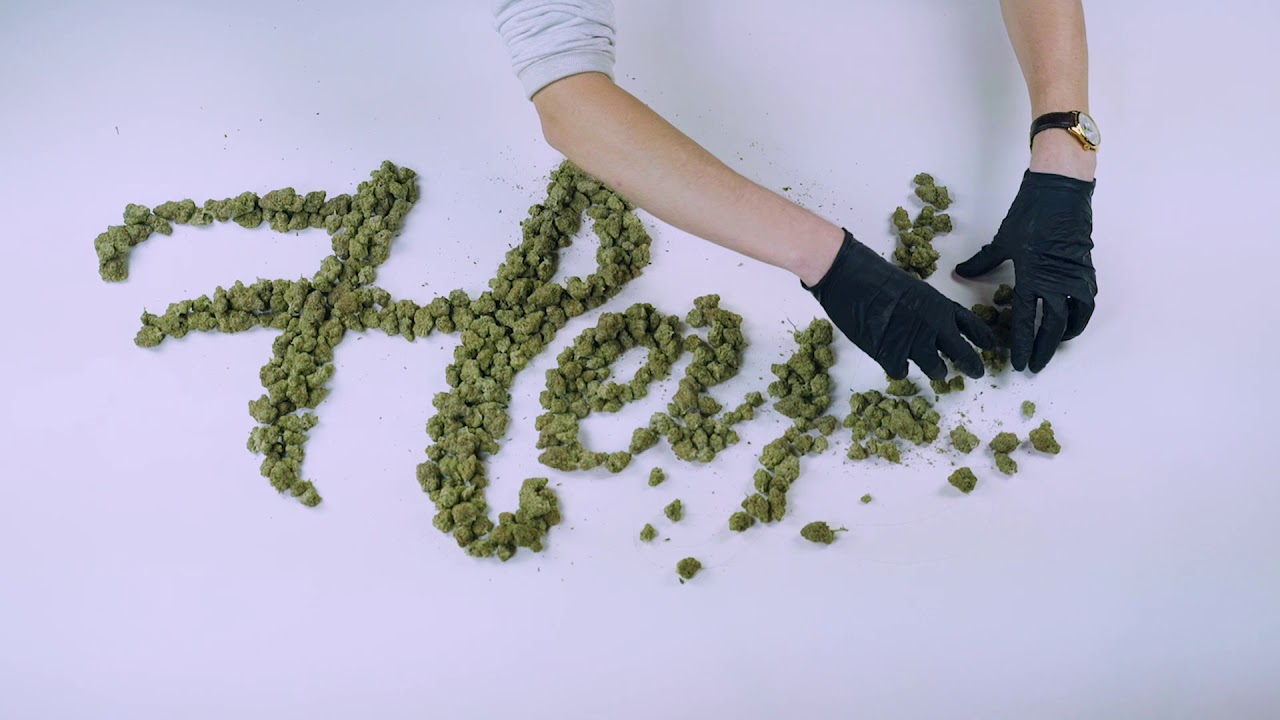 Playing with Bud and Making Art (Heylo Logo)