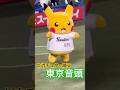 【ヤクルト×ポケモン】東京音頭を踊るピカチュウ ☆ポケモンベースボールフェスタ☆ #ポケモン #ヤクルトスワローズ #shorts