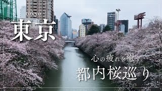 Enjoy alone! ひとりでも楽しめる東京桜巡り編。