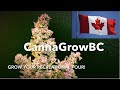 Cannagrowbc 2020 trailer