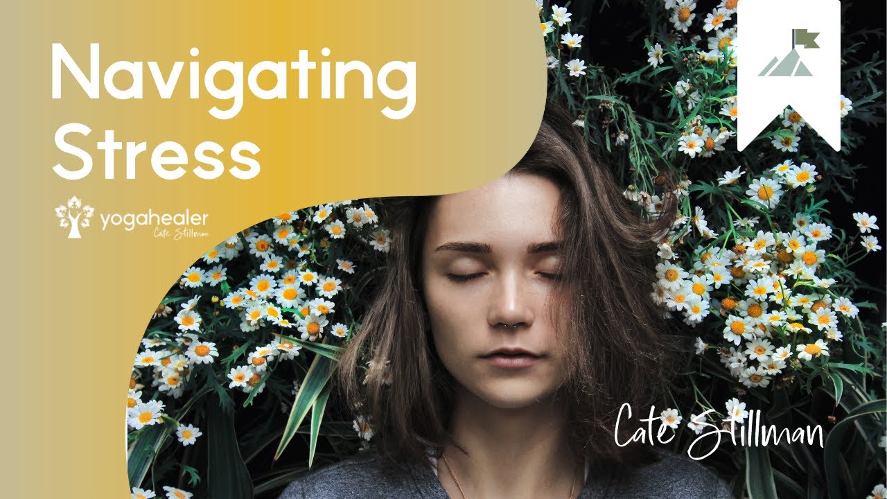 Navigating Stress + Ambition with Cate Stillman, Yogahealer + Yoga Health Coaching