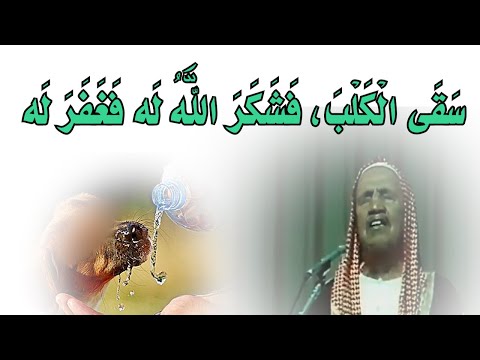 حديث ر ج ل س ق ى ال ك ل ب ف ش ك ر الل ه ل ه ف غ ف ر ل ه الشيخ ابن باز رحمه الله