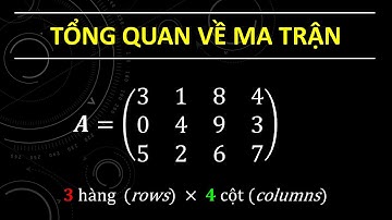 [ĐSTT #1] Tổng quan về Matrận | Intro to Matrix