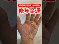 【手相実例】39歳男性、晩年もお金に恵まれる手相 #shorts #手相