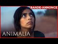 Animalia  bandeannonce