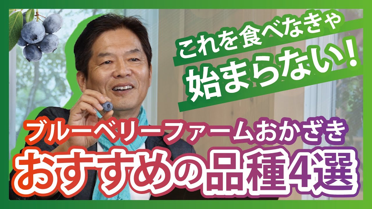 【驚くほど美味しい】ブルーベリーファームおかざき おすすめ品種TOP4