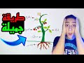 اجزاء النبات رسم اجزاء النبات رسم اجزاء النبات للاطفال 