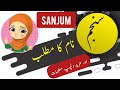 Sanjum name meaning in urdu and english with lucky number  islamic baby girl name  ali bhai