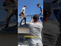 Інвестиції в зелену енергетику