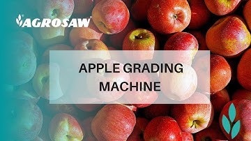 AGROSAW Apple grading machine
