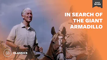 In Search of the Giant Armadillo | Mutual of Omaha's Wild Kingdom
