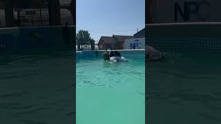 Dog Trainer Provides Piggyback Swimming Lessons