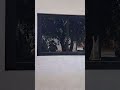 puertas y ventanas
