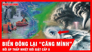 Điểm tuần: Cảnh báo: Áp thấp nhiệt đới giật cấp 8 tiến vào Biển Đông