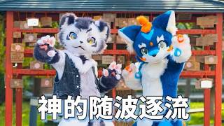【Fursuit Dance】银碳Gintan & RION - '神のまにまに'
