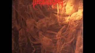 Desultory - Visions