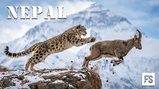 NEPAL WILD | The Ultimate Kingdom of Predators Across the Himalayas | Full Documentary