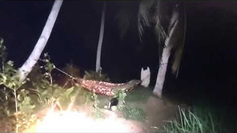 Tháng 7 Âm Là Tháng Cô Hồn Mọi Người Không Nên Ra Đường Đêm Hôm...