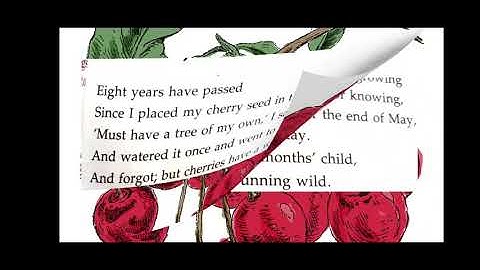 English Literature Lesson 10 The Cherry Tree (PART 1)
