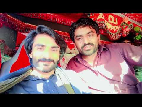 ایک سندھی استاد نے ڈاکیو کو سندھی زبان میں پیغام ویڈیو اچھی لگے تو شیٸر کریں شکریا تمام دوستوکا