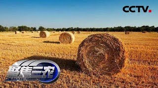 《聚焦三农》秸秆变钱难在哪儿 20190710 | CCTV农业